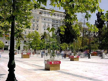 Athens In Bloom - Syntagma Square